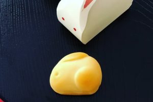 清閑院の秋夜のうさぎ