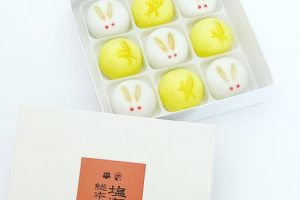 塩瀬総本家の四季饅頭