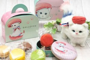 ダロワイヨのニャカロン詰め合わせとマカロン ケース