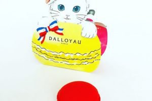 ダロワイヨの猫型ニャカロン