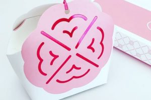 坂角総本舖,姫ゆかり