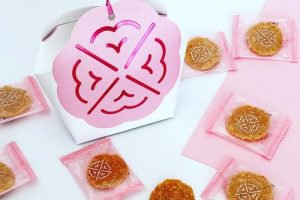 坂角総本舖の姫ゆかり