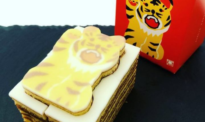輸入 手土産 プチギフト 2022 スイーツ ロールケーキ ギフト 子供 チョコ お菓子 個包装