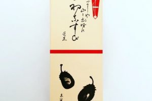 大松屋本家の初なすび