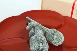 大松屋本家の初なすび