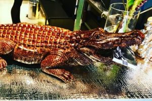 ジャン＝シャルル・ロシュー,クロコダイル