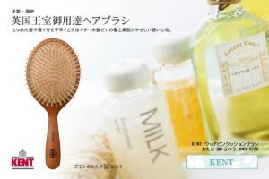 KENT(ケント) ウッドピンクッションブラシ