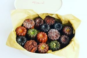 オーバルに入ったダニエルのカヌレ