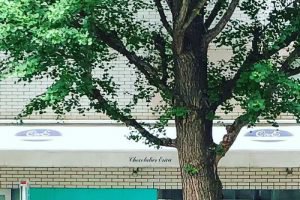 ショコラティエ・エリカの店舗