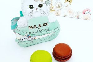 ダロワイヨのギフト