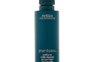 アヴェダのプラマサナ ピュリファイング スカルプ クレンザー
