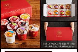 レ　ロジェ　エギュスキロールのアイスクリームギフト