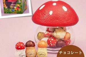 カファレル,きのこポットチョコレート
