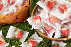 春摘み苺アイス