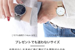 コモノの腕時計,ウィンストン ロイヤル