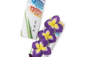 宗家源吉兆庵の菖蒲餅