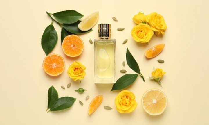 人気のシトラス系の香水「品よく香る」大人の柑橘系！