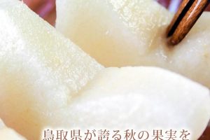 鳥取県産の二十世紀梨