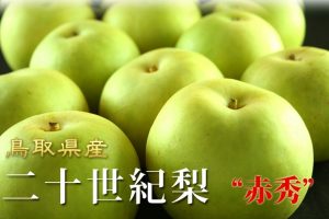 鳥取の二十世紀梨