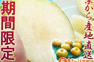 千葉梨の産地直送