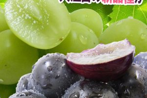 シャインマスカットとナガノパープル