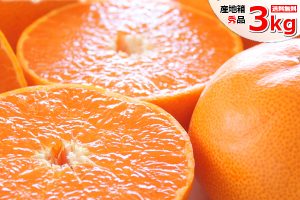 愛媛県産のみかん,せとか