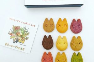 白髭のシュークリーム工房のトトロのクッキーBOX