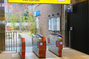 白髭のシュークリーム工房の代田店