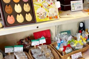 白髭のシュークリーム工房の吉祥寺店