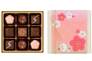 セゾン ド セツコのショコラの調べ