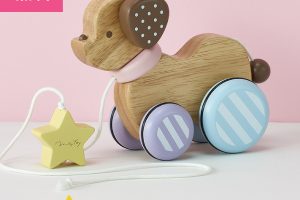 木のおもちゃ,プルトイ