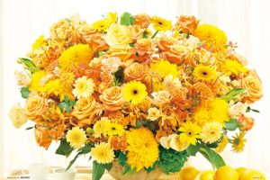 入院見舞い,ジグソーパズル