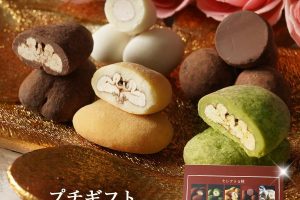 サロンドロワイヤルのチョコレートプチギフト5種セット