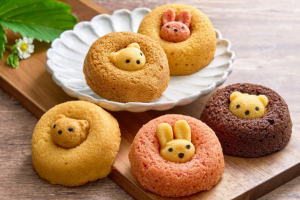 ちいさな森のドーナツ詰め合わせ