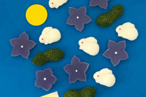 鶴屋吉信のお干菓子詰合せ お月見