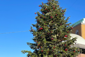 恵比寿のクリスマスツリー