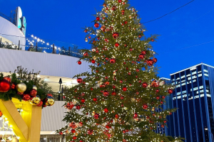 リンツのツリー