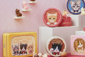 モロゾフのバレンタイン,ショコラな猫