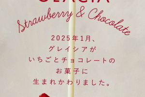 オードリーのグレイシアがリニューアル