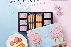 ヨックモックのドゥーブル ショコラ オゥ サクラ