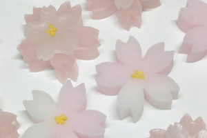 塩野の半生干菓子