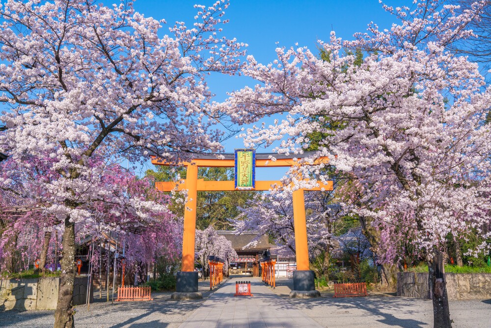 京都の平野神社