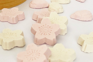 松屋本店の吉野懐古