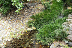 京都の下賀茂神社