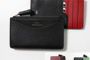 アニヤ ハインドマーチのフラグメントケース