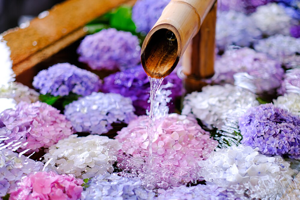 あじさいの花手水
