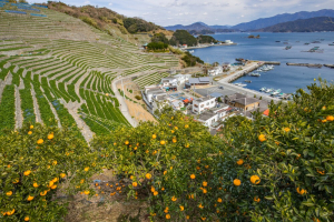 南予・宇和島エリア