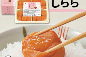 中田食品の紀州産南高梅,しらら