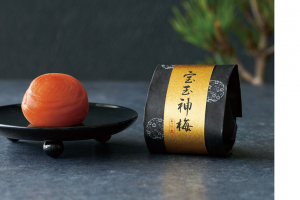 おうすの里の宝玉神梅　