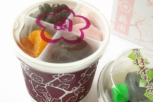 浅草梅園の土産あんみつ